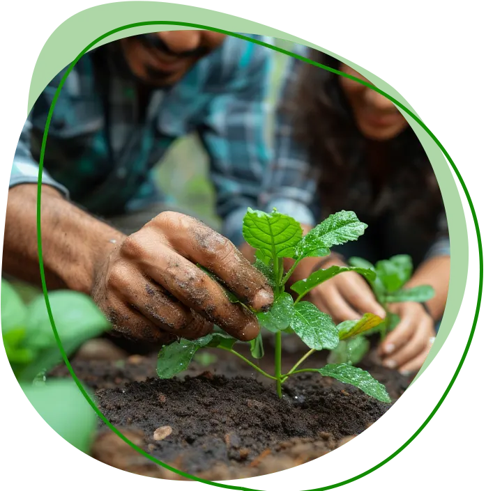 Eco-Farmland in Chennai